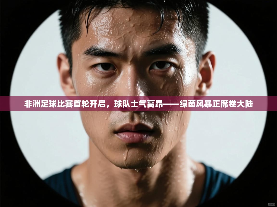 非洲足球比赛首轮开启,球队士气高昂——绿茵风暴正席卷大陆 第2张